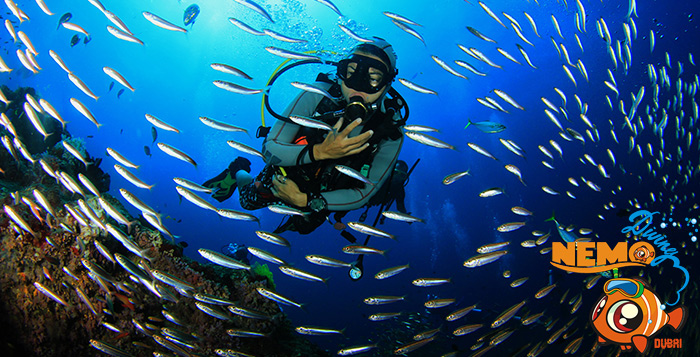 scuba diving deals dubai
